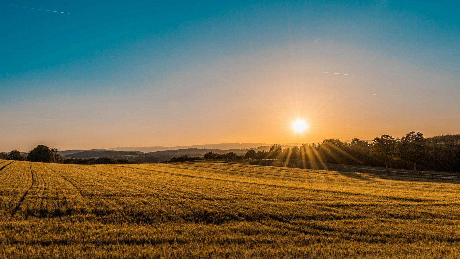 Green rolling hills of Gippsland under a wide sky
